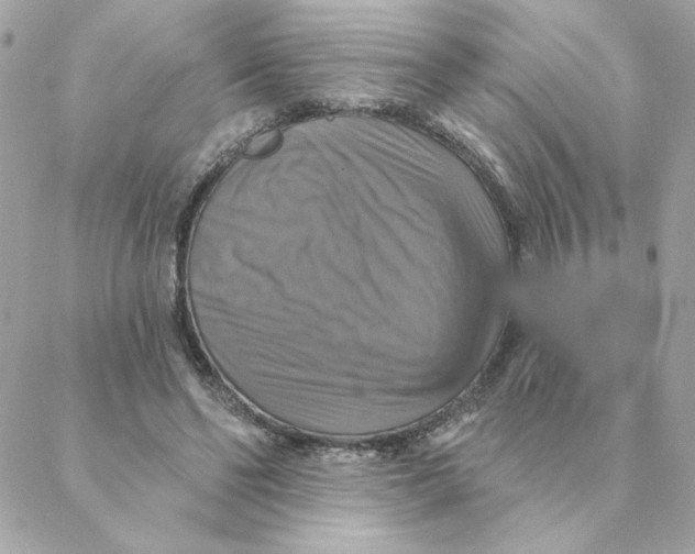 X0000088200494200706051235