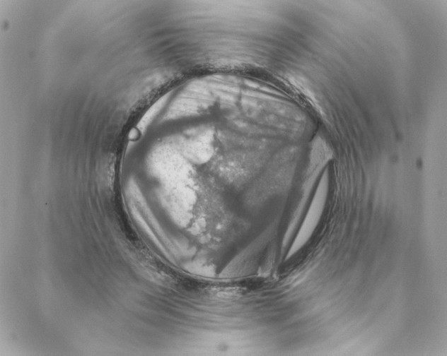 X0000088200495200706051235