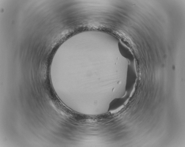 X0000088200496200706051235