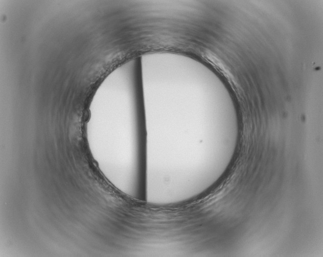 X0000088200497200706051235