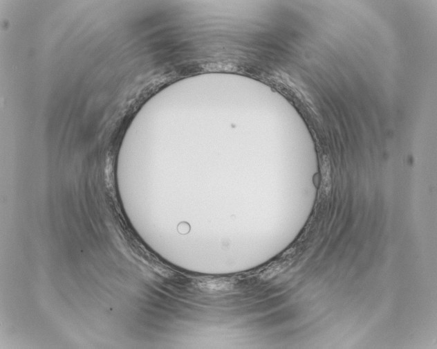 X0000088200498200706051235