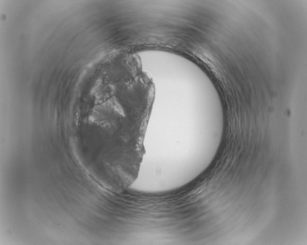 X0000088200499200706051235