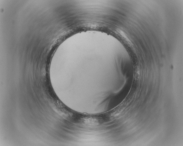 X0000088200500200706051235