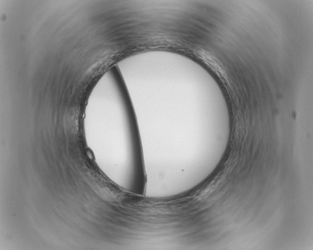 X0000088200501200706051235