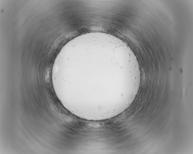 X0000088200502200706051235