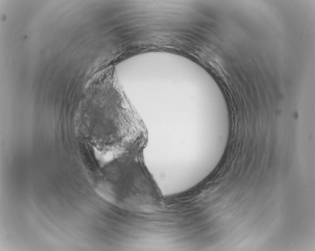 X0000088200503200706051235