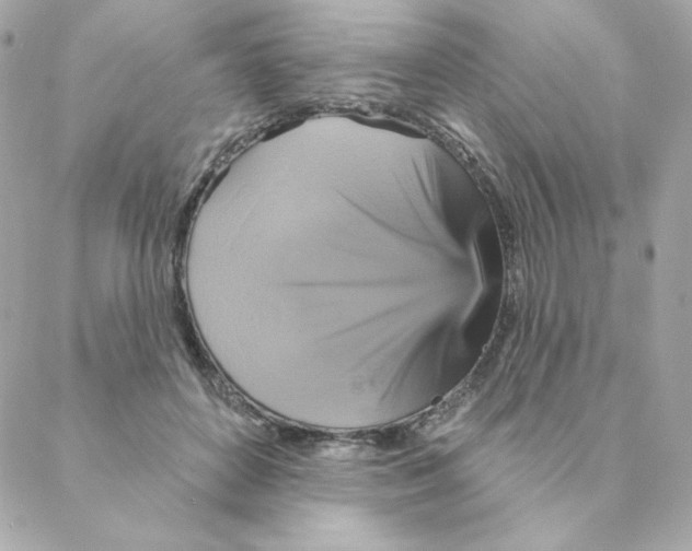 X0000088200504200706051235