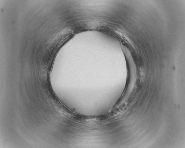 X0000088200505200706051235