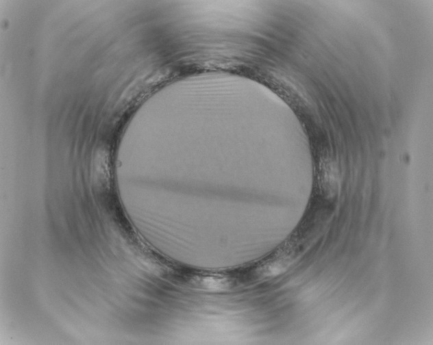 X0000088200506200706051235