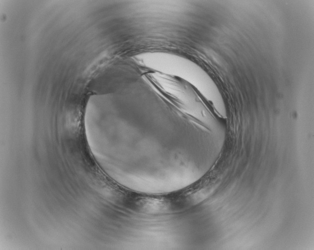 X0000088200507200706051235