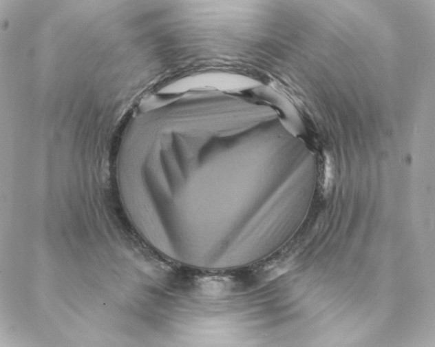 X0000088200508200706051235