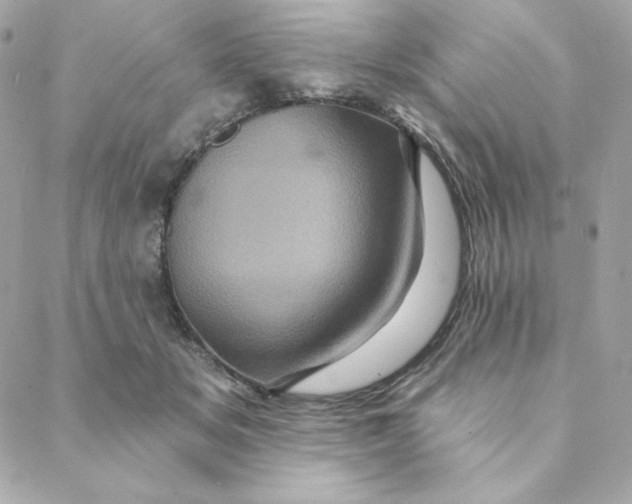 X0000088200509200706051235