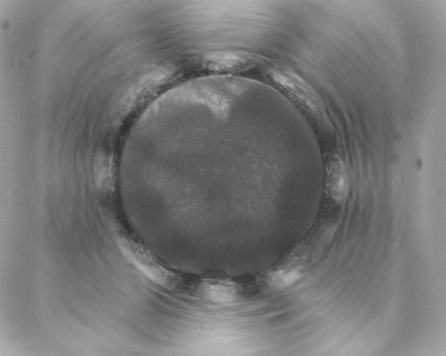 X0000088200510200706051235