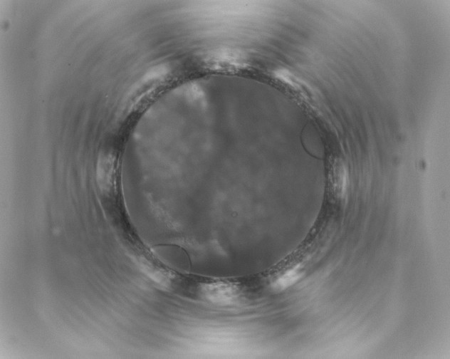 X0000088200511200706051235