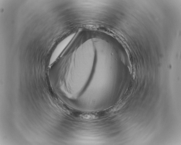 X0000088200512200706051235