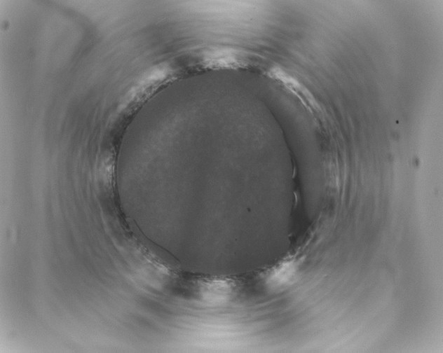 X0000088200513200706051235