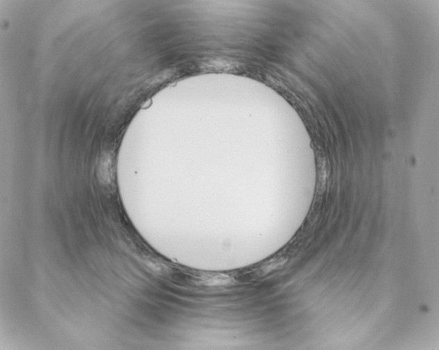 X0000088200514200706051235