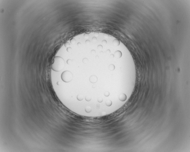 X0000088200515200706051235