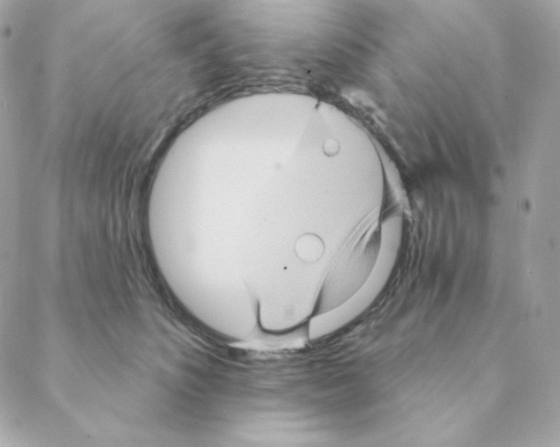 X0000088200516200706051235