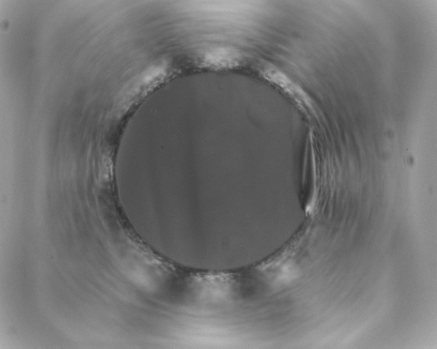 X0000088200517200706051235