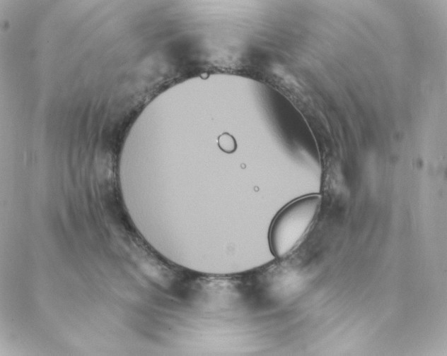 X0000088200518200706051235