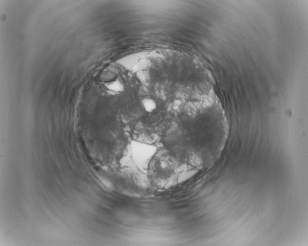 X0000088200519200706051235