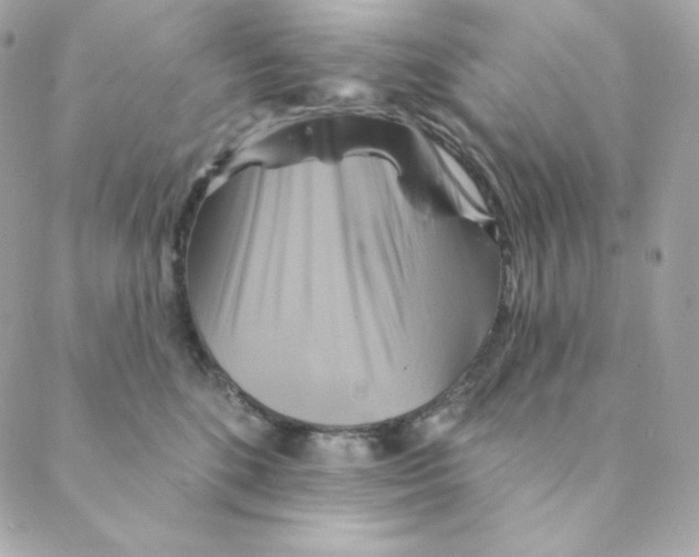 X0000088200520200706051235