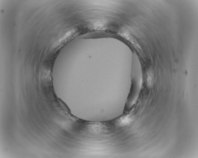 X0000088200521200706051235