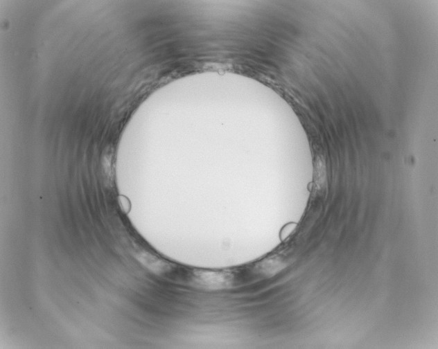 X0000088200522200706051235