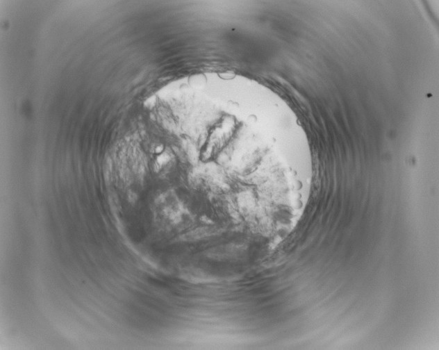 X0000088200523200706051235