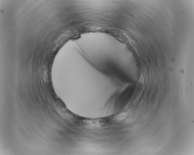 X0000088200524200706051235