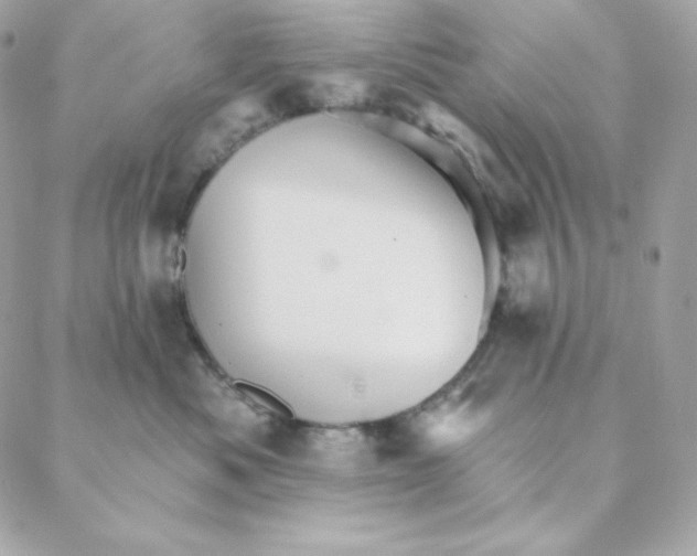 X0000088200525200706051235