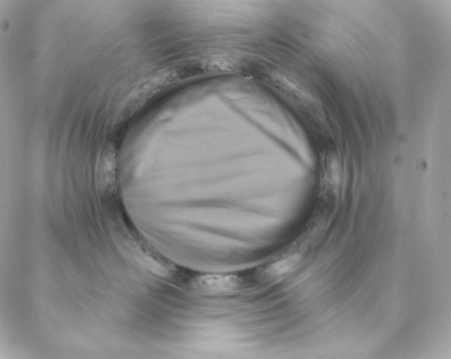 X0000088200526200706051235