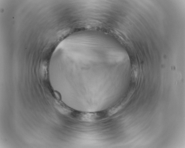 X0000088200527200706051235