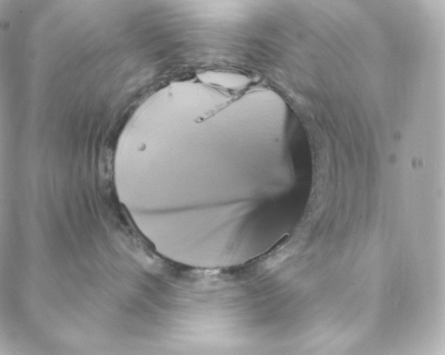 X0000088200528200706051235