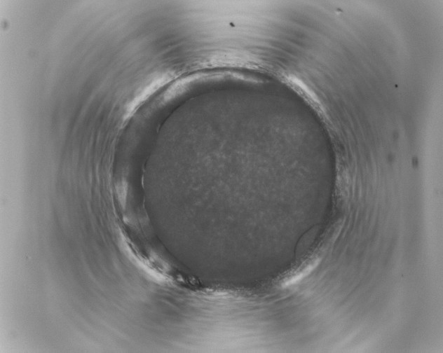 X0000088200530200706051234