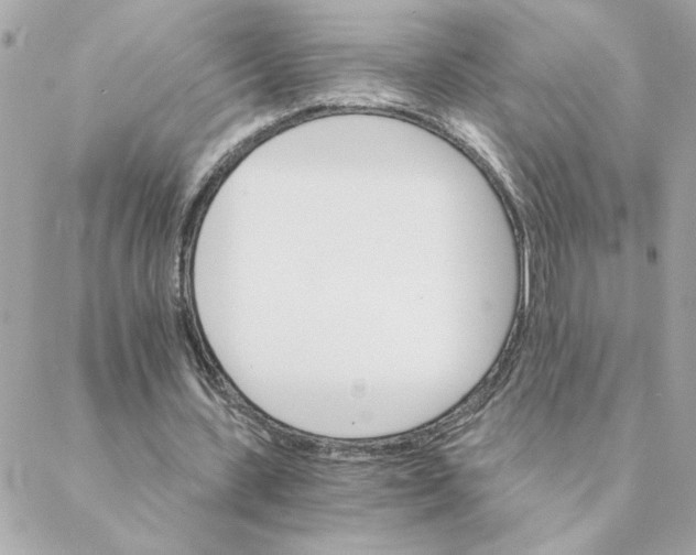 X0000088200531200706051234