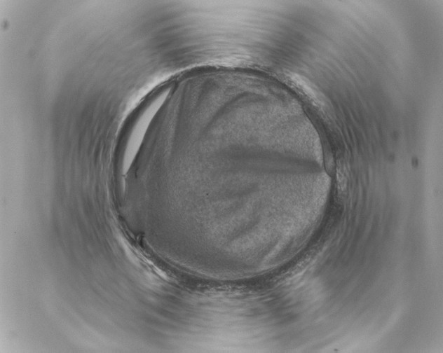 X0000088200532200706051234