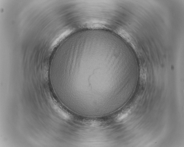 X0000088200533200706051234