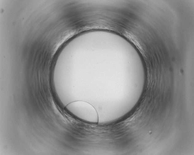 X0000088200534200706051234