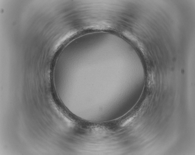 X0000088200535200706051234