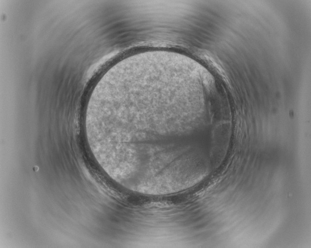 X0000088200536200706051234