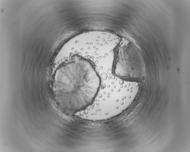 X0000088200537200706051234