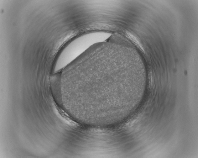 X0000088200538200706051234