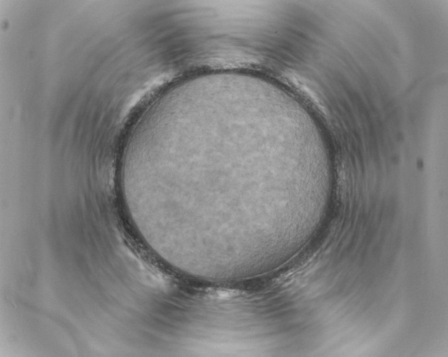 X0000088200539200706051234