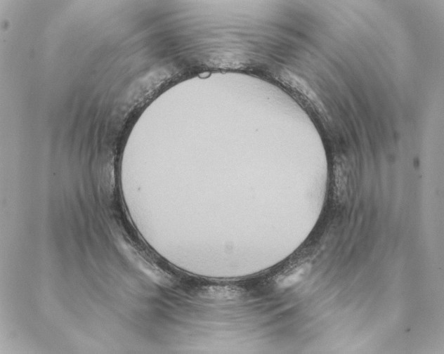 X0000088200541200706051234