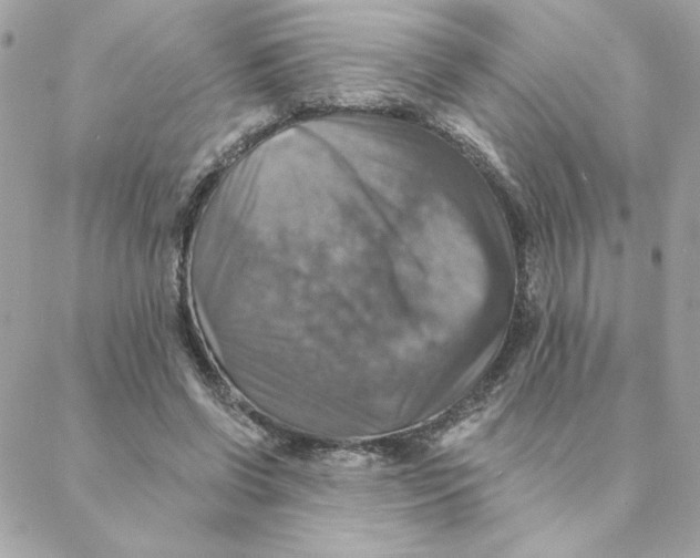 X0000088200542200706051234