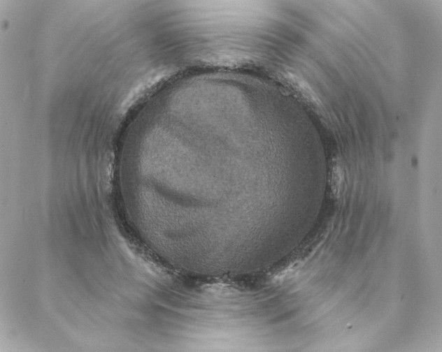 X0000088200544200706051234