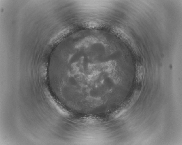 X0000088200545200706051234