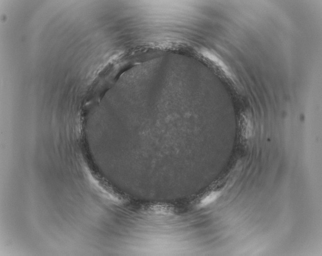 X0000088200546200706051234